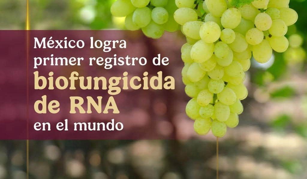 Noticia